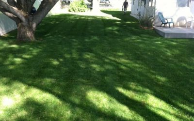 Recent projects in Durango, CO