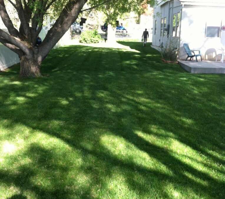 Recent projects in Durango, CO